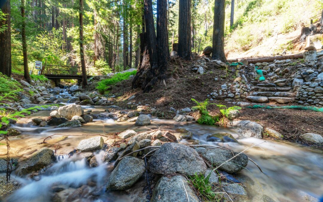 11800 Clear Creek  Brookdale, CA 95007