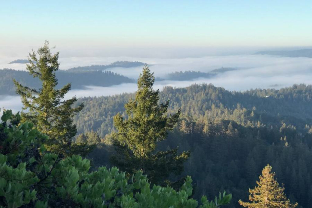 Lot 58 Skyview Ridge Road <br/> Boulder Creek, CA 95006