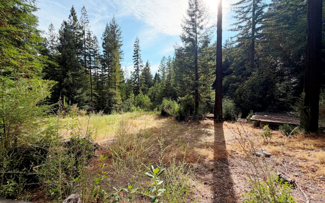 320 Timber Cove  Boulder Creek, CA 95006