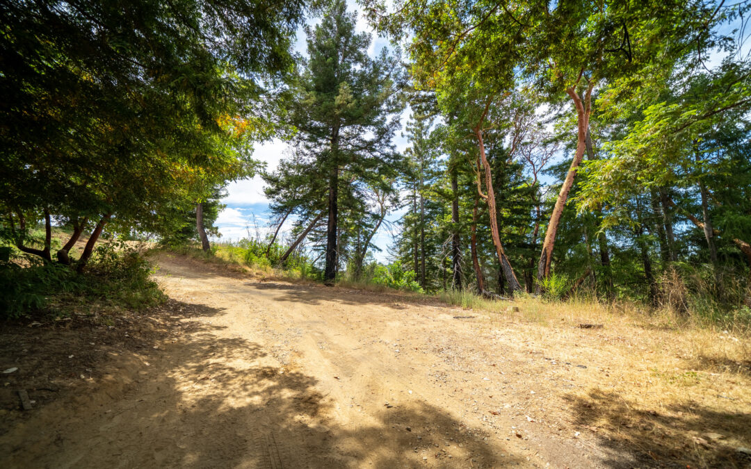 680 Hartman Creek Road  Boulder Creek, CA 95006