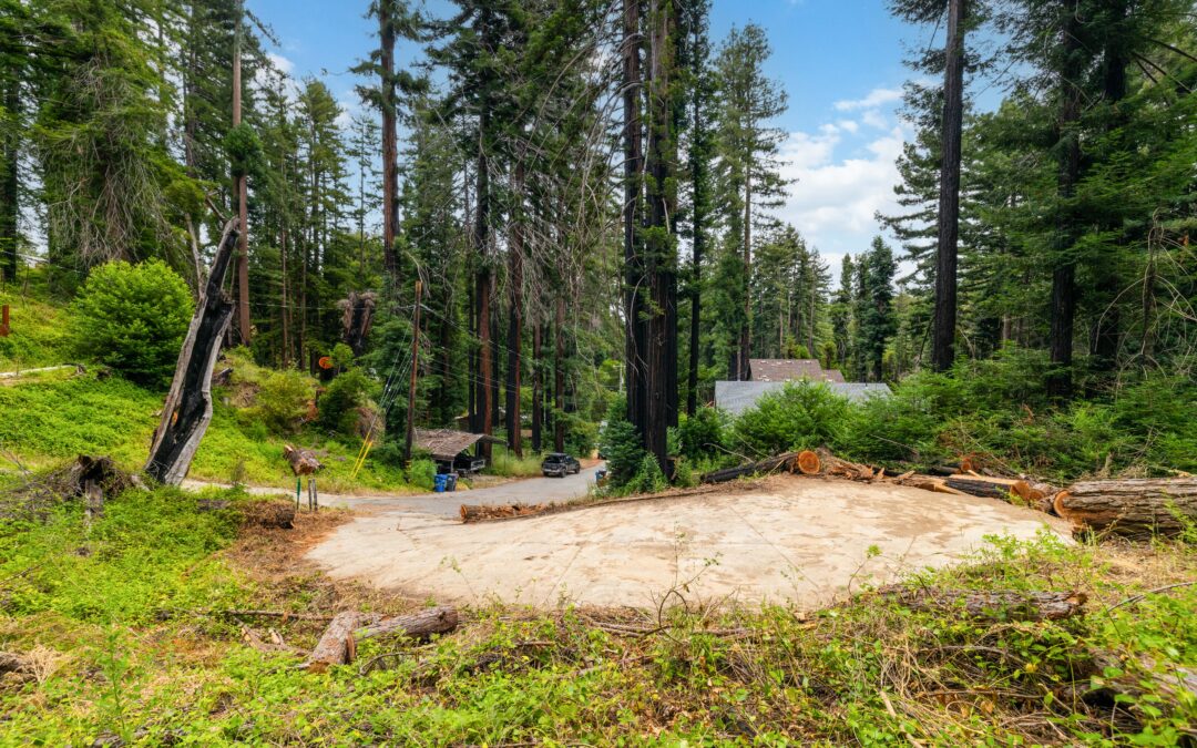 1131 Rambling Road  Boulder Creek, CA 95006